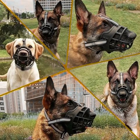 Muselière Chien / Madox - sur plusieurs chiens différents