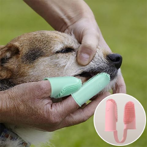Brosse A Dent Chien / Fidgy - Mon Chien Charlie