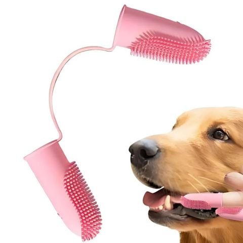 Brosse A Dent Chien / Fidgy - Mon Chien Charlie