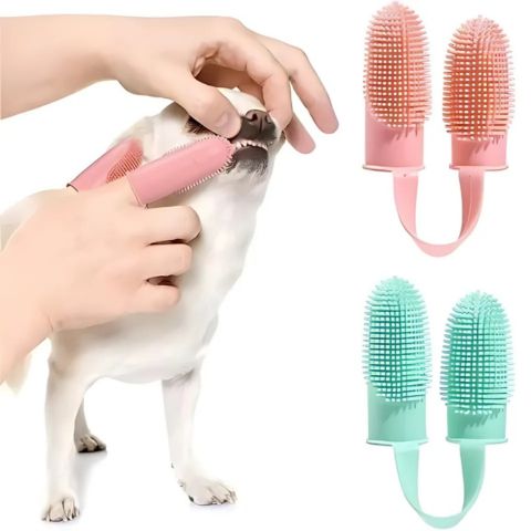 Brosse A Dent Chien / Fidgy - Mon Chien Charlie