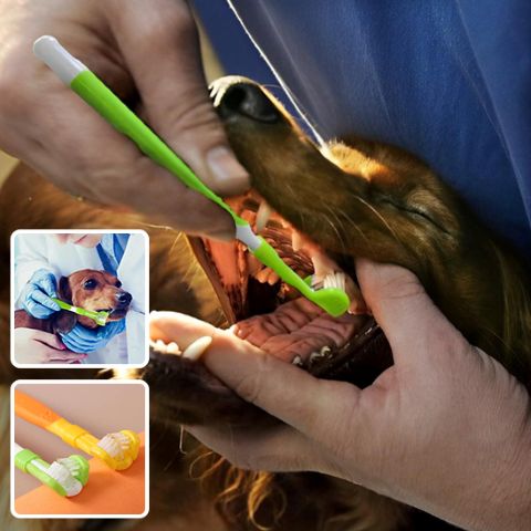 Brosse A Dent Chien / Ruby - Mon Chien Charlie