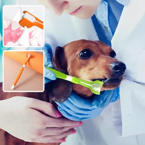 Brosse A Dent Chien / Ruby - Mon Chien Charlie