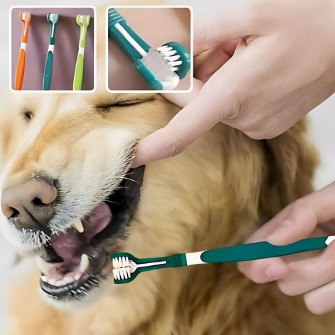 Brosse A Dent Chien / Ruby - Mon Chien Charlie