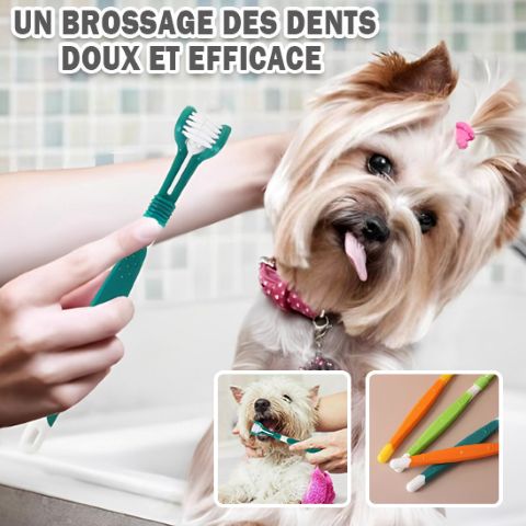 Brosse A Dent Chien / Ruby - Mon Chien Charlie