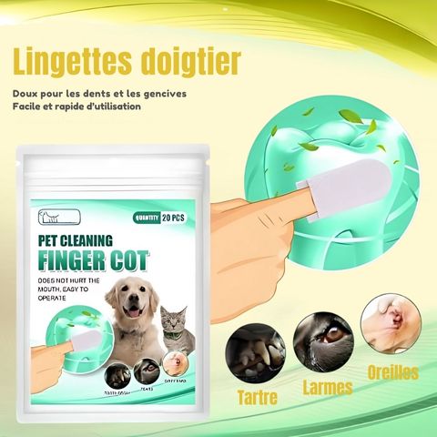Brosse A Dent Chien / Tigars - Mon chien Charlie