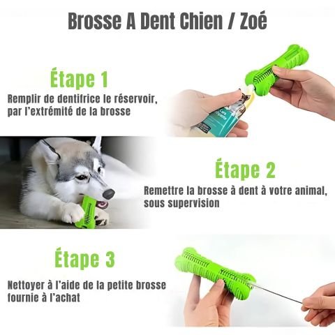 Brosse A Dent Chien / Zoé - Mon Chien Charlie