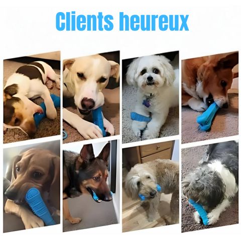 Brosse A Dent Chien / Zoé - Mon Chien Charlie