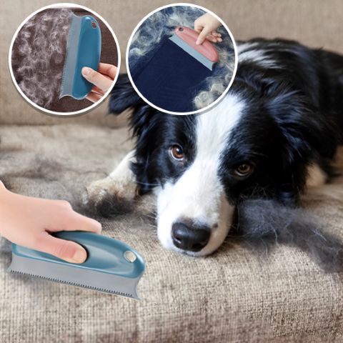 Brosse Anti Poil / Loulou - Mon Chien Charlie