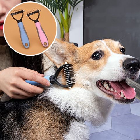 Brosse Chien Poil Long / Fidgy - Mon chien Charlie