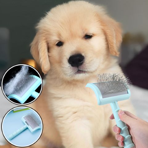 Brosse Chien Poil Long / Tinour - Mon Chien Charlie