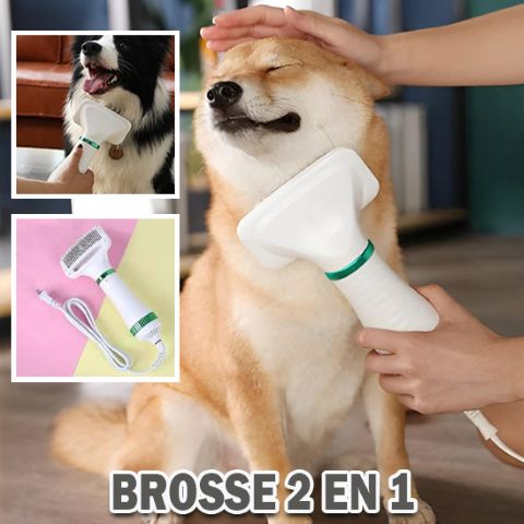 Brosse Chien / Séchoir Médor - Mon Chien Charlie