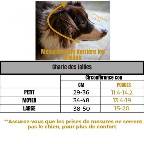 Casquette pour chien Goliath avec texte sur mesure et tableau de tailles (circonférences cou) affiché.