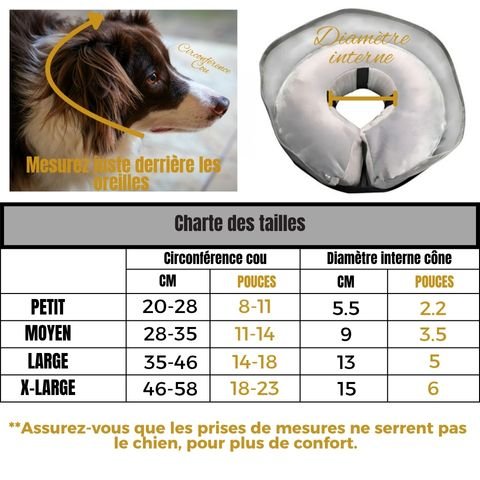 Collerette Chien / Jackson - Mon Chien Charlie