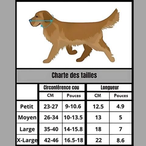 Collerette Chien / Madox - Mon chien Charlie