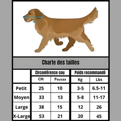 Collerette Chien / Maxy - Mon chien Charlie