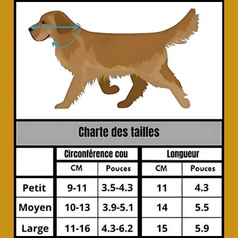 Collerette Chien / Pacane - Mon Chien Charlie