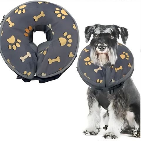 Collerette Chien / Poppy - Mon chien Charlie