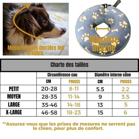 Collerette Chien / Poppy - Mon Chien Charlie