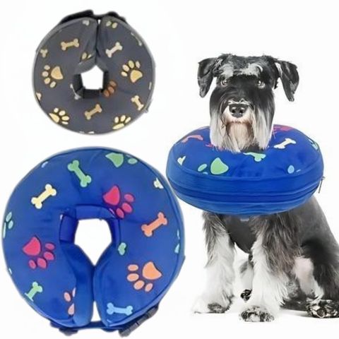Collerette Chien / Poppy - Mon Chien Charlie