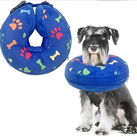 Collerette Chien / Poppy - Mon chien Charlie