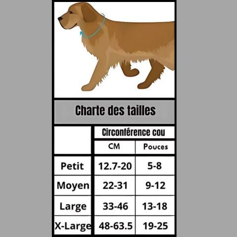 Collerette Chien / Poppy - Mon chien Charlie