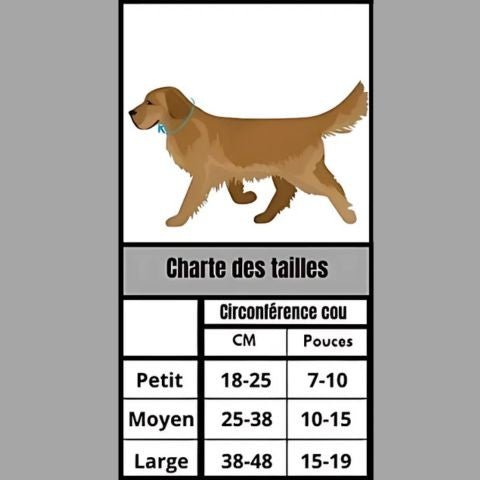 Collerette Chien / Rosco - Mon chien Charlie