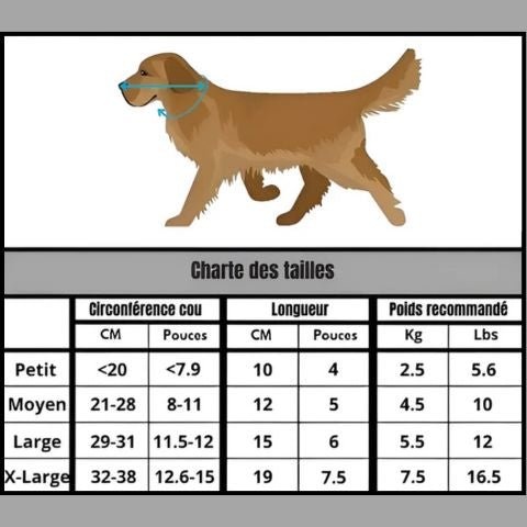Collerette Chien / Tigars - Mon chien Charlie