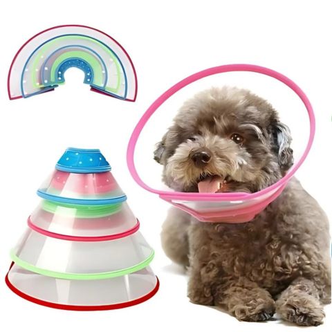 Collerette Chien / Tigars - Mon chien Charlie