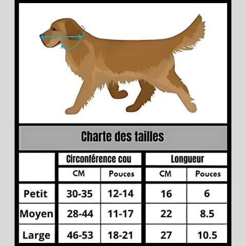 Collerette Chien / Tinour - Mon chien Charlie