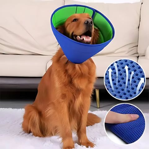 Collerette Chien / Tinour - Mon Chien Charlie