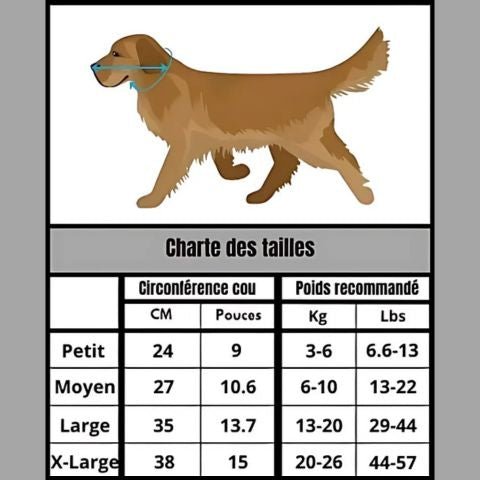 Collerette Chien / Troylie - Mon chien Charlie
