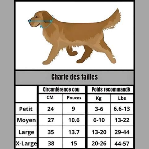 Collerette pour chien Troylie: silhouette dâun chien marron portant collier bleu, en extĂ©rieur, tableau des tailles (Petit Ă X-Large) visible.