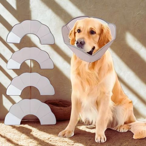 Collerette Chien / Zara - Mon Chien Charlie