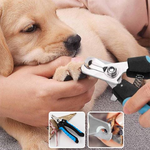 Coupe Ongle Chien / Charlie - Mon Chien Charlie