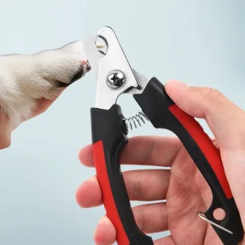 Coupe Ongle Chien / Charlie - Mon Chien Charlie