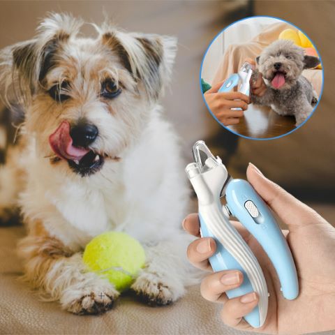 Coupe Ongle Chien / Fidgy - Mon Chien Charlie