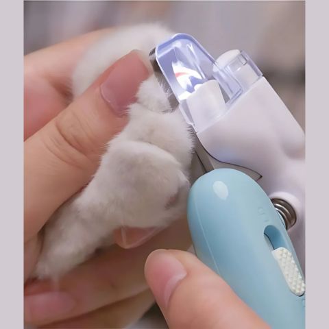 Coupe Ongle Chien / Fidgy - Mon Chien Charlie