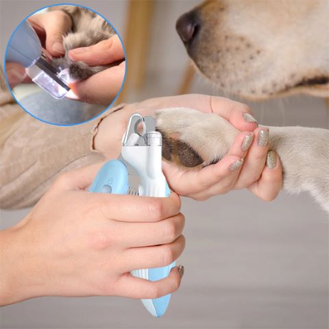 Coupe Ongle Chien / Fidgy - Mon Chien Charlie