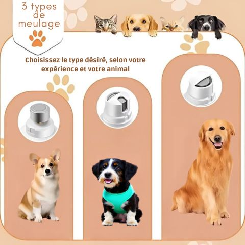 Coupe Ongle Chien / Maxy - Mon Chien Charlie