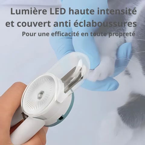 Coupe Ongle Chien / Ruby - Mon Chien Charlie
