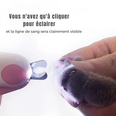 Coupe Ongle Chien / Tiloup - Mon Chien Charlie
