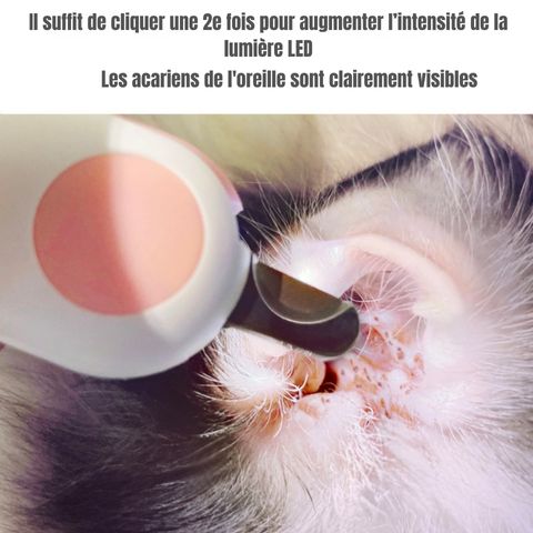 Coupe Ongle Chien / Tiloup - Mon Chien Charlie