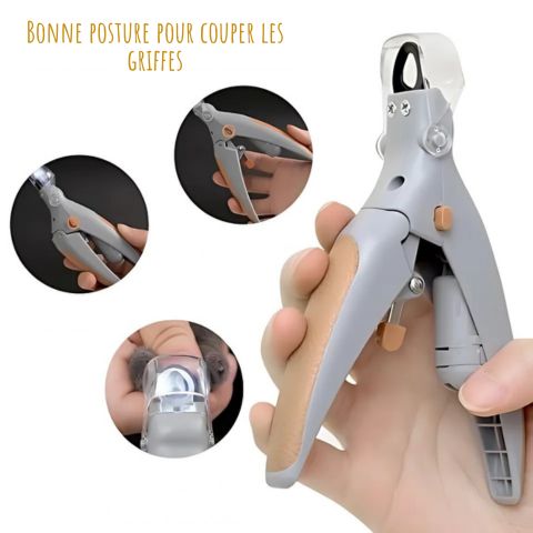 Coupe Ongle Chien / Tinour bonne posture
