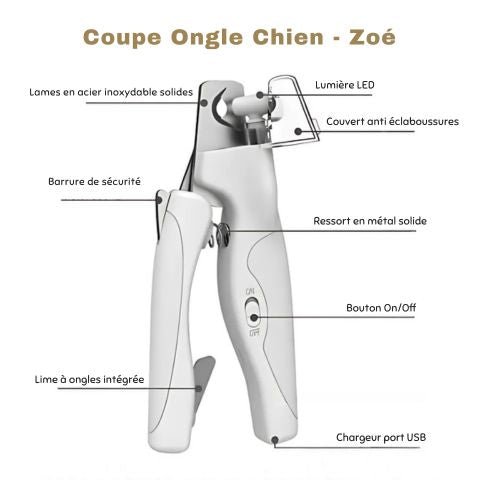 Coupe Ongle Chien / Zoé - Mon chien Charlie