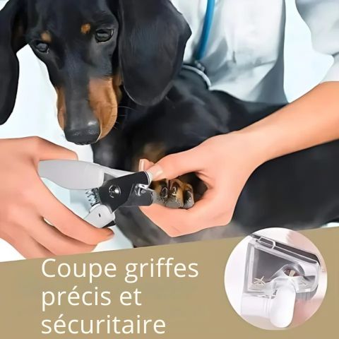 Coupe Ongle Chien / Zoé - Mon Chien Charlie