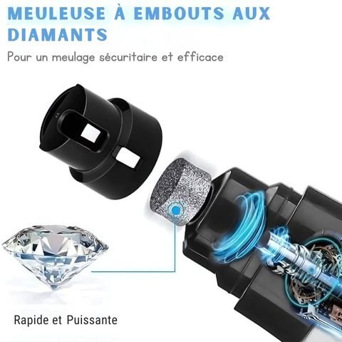 Coupe Ongle Pour Chien / Zara - Mon chien Charlie