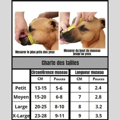 Muselière Chien / Balou - Mon chien Charlie