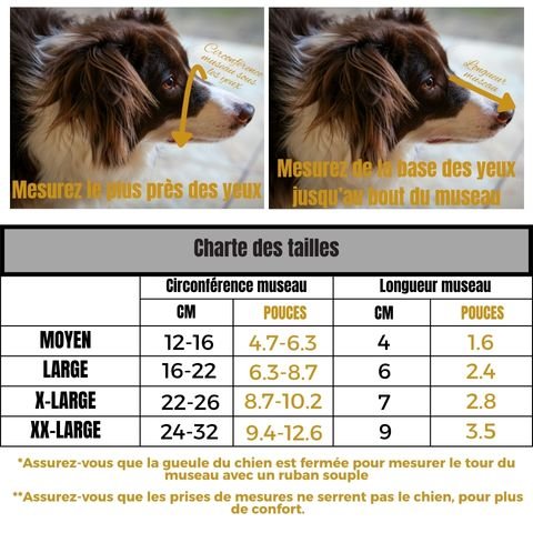 Muselière Chien / Balou - Mon Chien Charlie