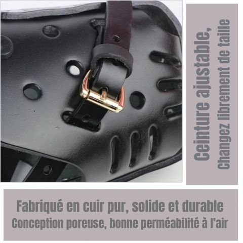 Muselière Chien / Fidgy - Mon Chien Charlie