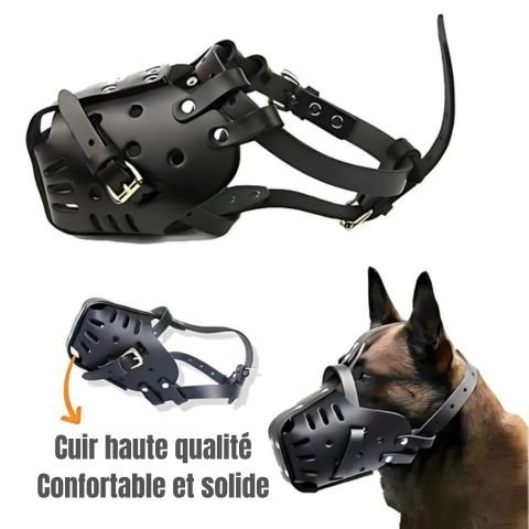 Muselière Chien / Fidgy - Mon Chien Charlie